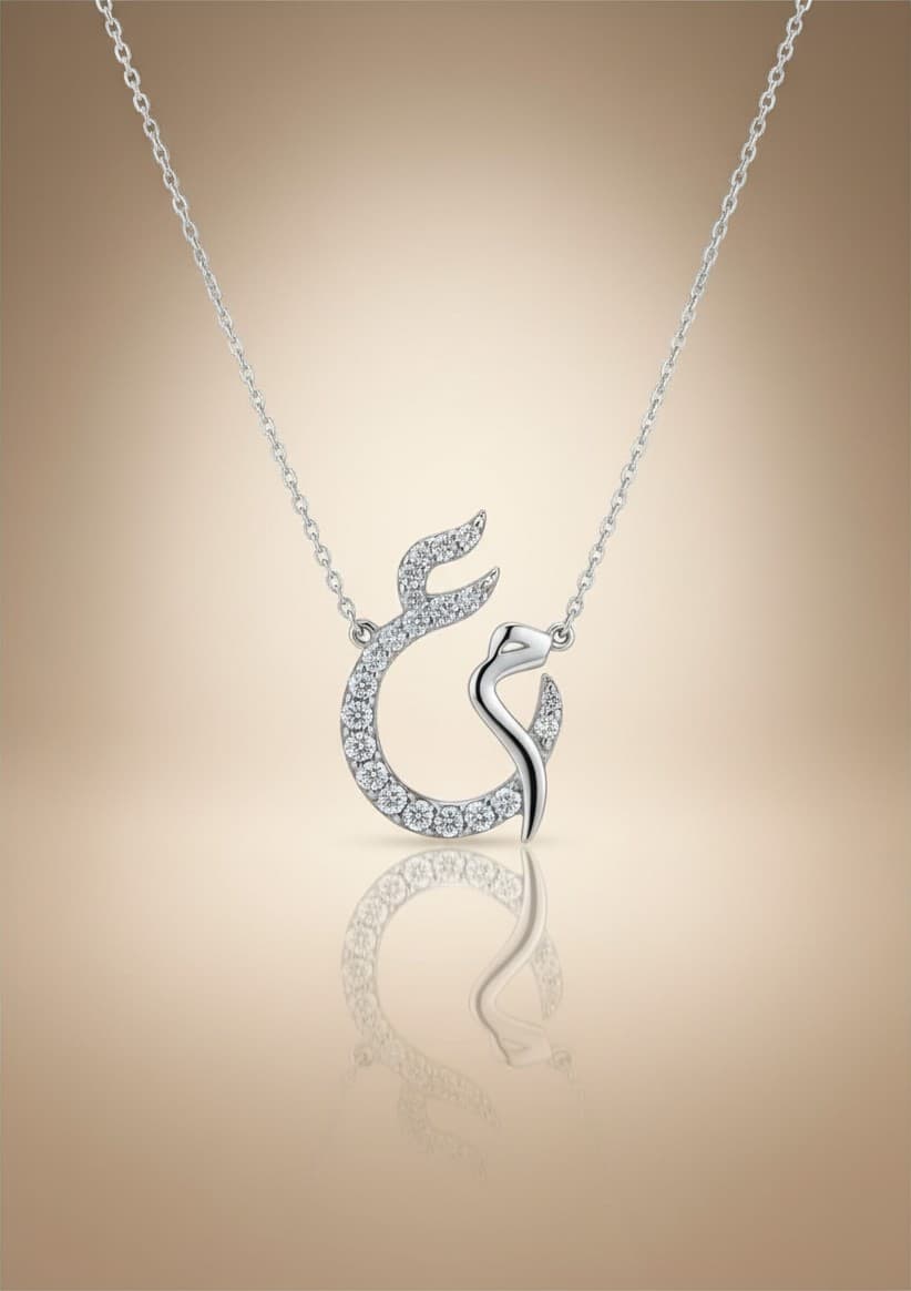 Diamond Encrusted Necklace